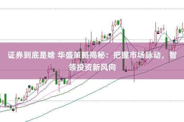 证券到底是啥 华盛策略揭秘：把握市场脉动，智领投资新风向