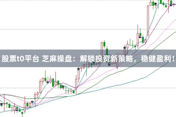 股票t0平台 芝麻操盘：解锁投资新策略，稳健盈利！