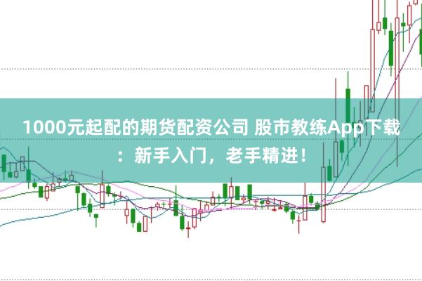 1000元起配的期货配资公司 股市教练App下载：新手入门，老手精进！