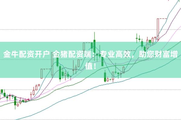 金牛配资开户 金猪配资端：专业高效，助您财富增值！