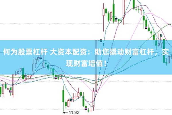 何为股票杠杆 大资本配资：助您撬动财富杠杆，实现财富增值！