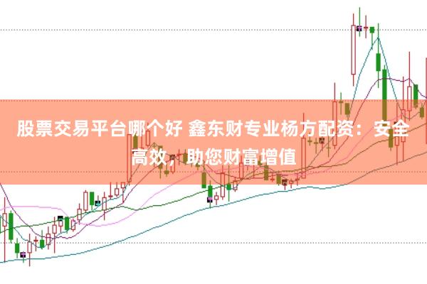 股票交易平台哪个好 鑫东财专业杨方配资：安全高效，助您财富增值