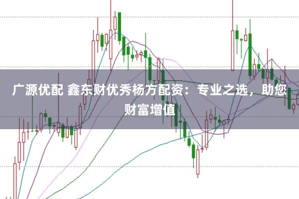 广源优配 鑫东财优秀杨方配资：专业之选，助您财富增值