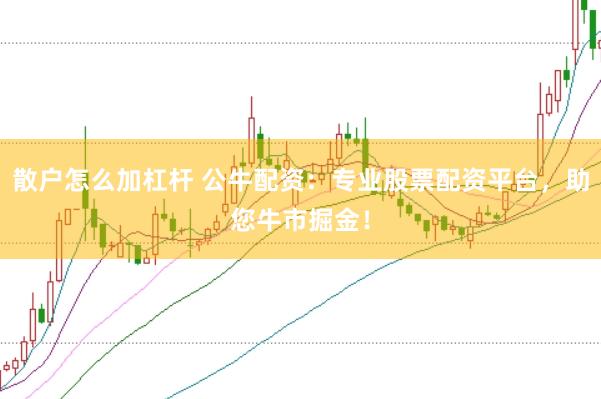 散户怎么加杠杆 公牛配资：专业股票配资平台，助您牛市掘金！