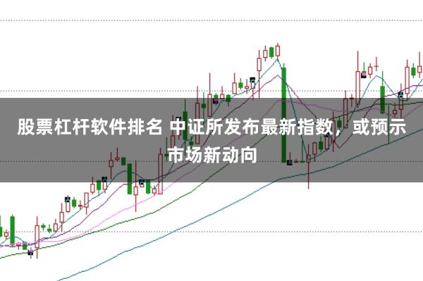 股票杠杆软件排名 中证所发布最新指数，或预示市场新动向