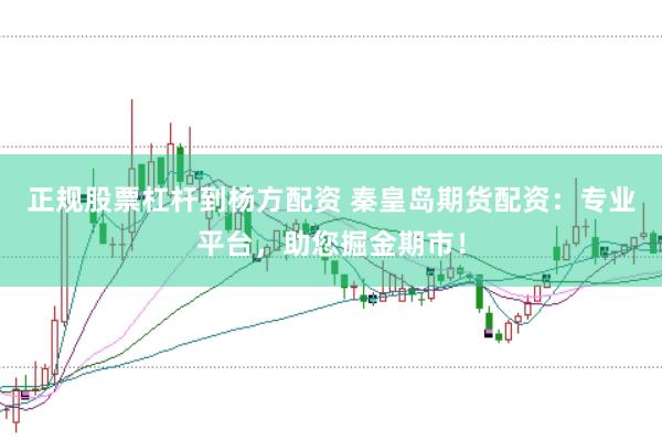 正规股票杠杆到杨方配资 秦皇岛期货配资：专业平台，助您掘金期市！