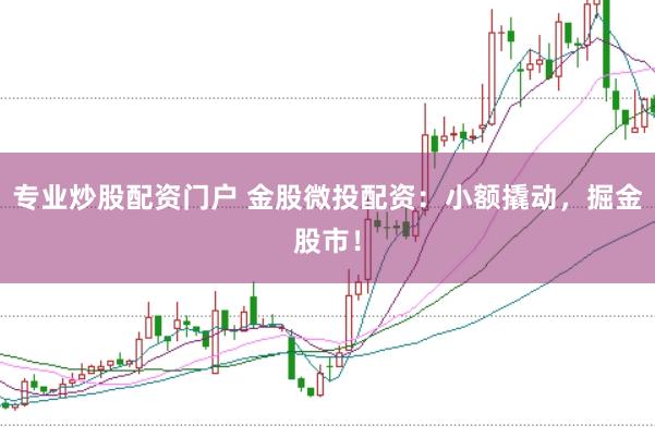 专业炒股配资门户 金股微投配资：小额撬动，掘金股市！