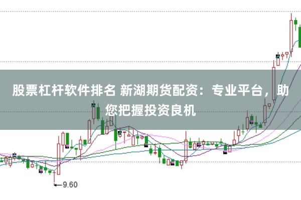 股票杠杆软件排名 新湖期货配资：专业平台，助您把握投资良机