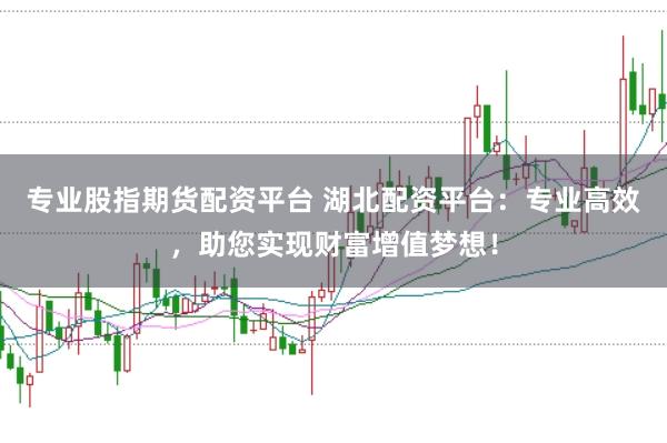 专业股指期货配资平台 湖北配资平台：专业高效，助您实现财富增值梦想！