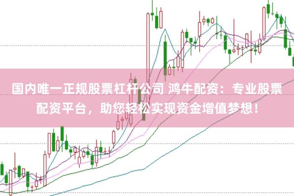 国内唯一正规股票杠杆公司 鸿牛配资：专业股票配资平台，助您轻松实现资金增值梦想！