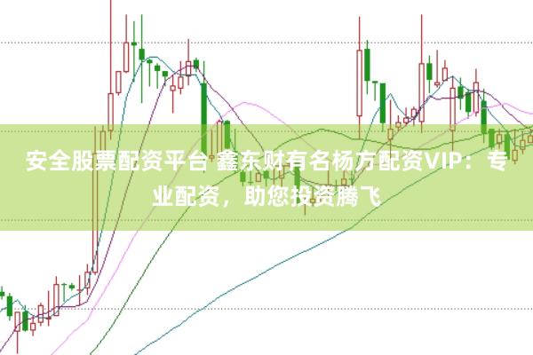 安全股票配资平台 鑫东财有名杨方配资VIP：专业配资，助您投资腾飞