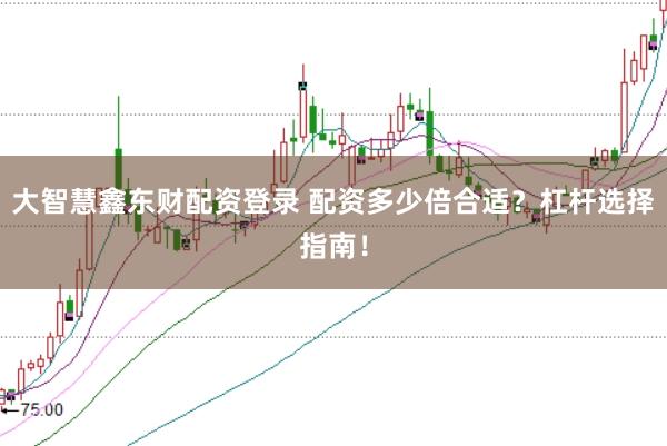大智慧鑫东财配资登录 配资多少倍合适？杠杆选择指南！