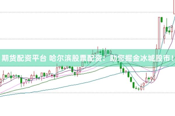 期货配资平台 哈尔滨股票配资：助您掘金冰城股市！