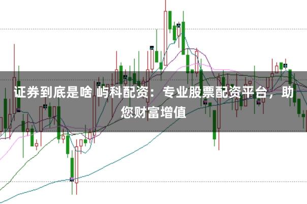 证券到底是啥 屿科配资：专业股票配资平台，助您财富增值