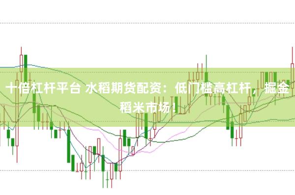 十倍杠杆平台 水稻期货配资:低门槛高杠杆,掘金稻米市场!