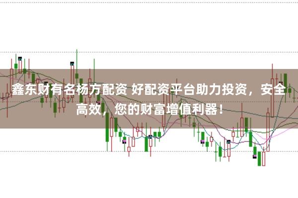 鑫东财有名杨方配资 好配资平台助力投资,安全高效,您的财富增值利器!