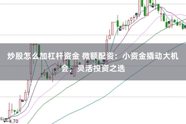 炒股怎么加杠杆资金 微额配资:小资金撬动大机会,灵活投资之选
