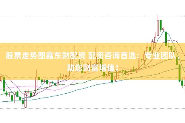 股票走势图鑫东财配资 配资咨询首选:专业团队,助您财富增值!