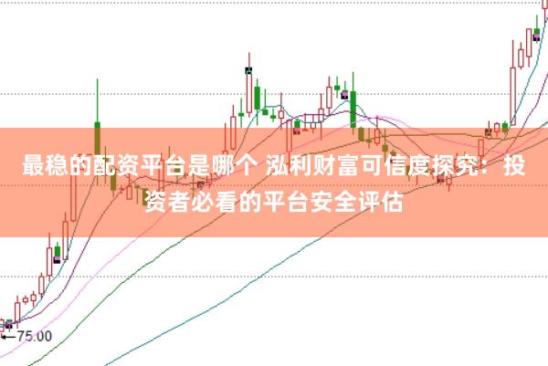最稳的配资平台是哪个 泓利财富可信度探究：投资者必看的平台安全评估